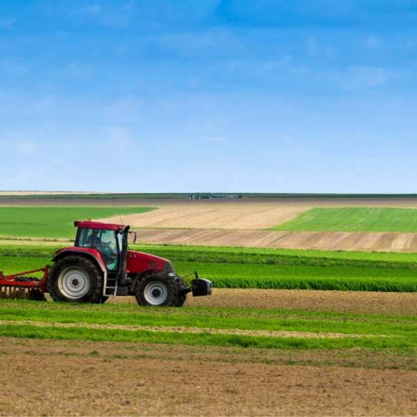 Erkmen Onbulak 6 Tarımsal girdi enflasyonu aralıkta geriledi