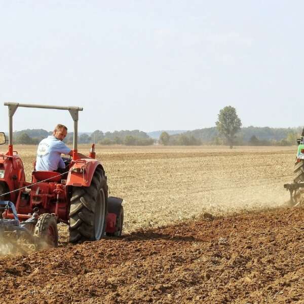 İlkay Keskin 3 Tarımda üretici enflasyonu martta yüzde 106,77’ye geriledi