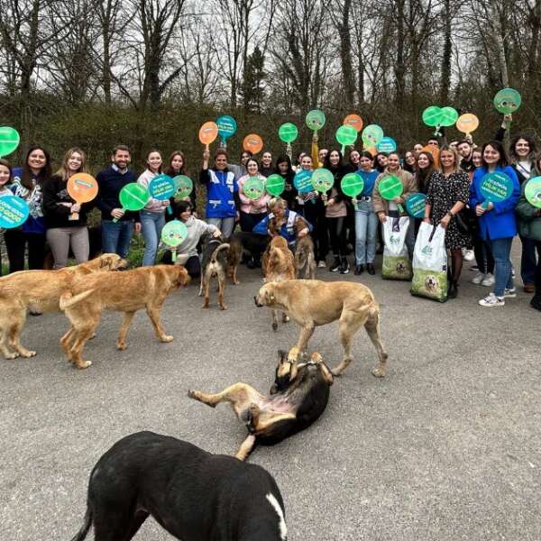 Watsons Türkiye HAYTAP iş birliği ile ormanlardaki dostlarımızı 1 ton mamayla besledi