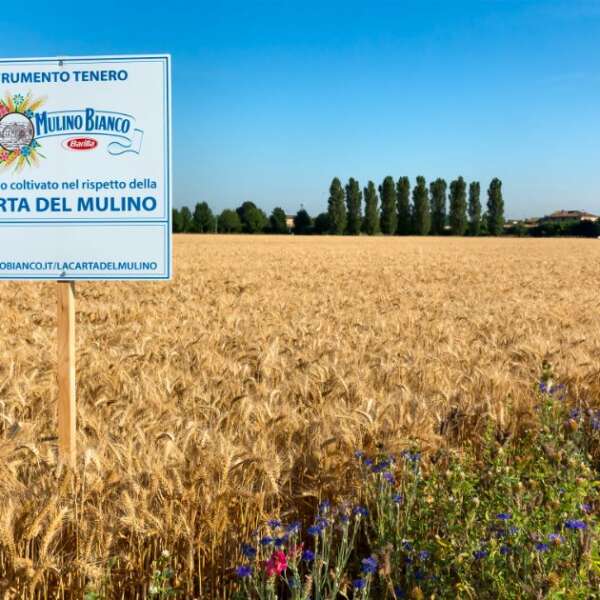 İlker Özçetin 13 Barilla, 2022 yılı iş ve sürdürülebilirlik sonuçlarını yayımladı