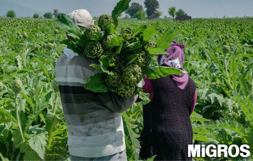 Migros deprem bolgesindeki ureticilere destege devam ediyor