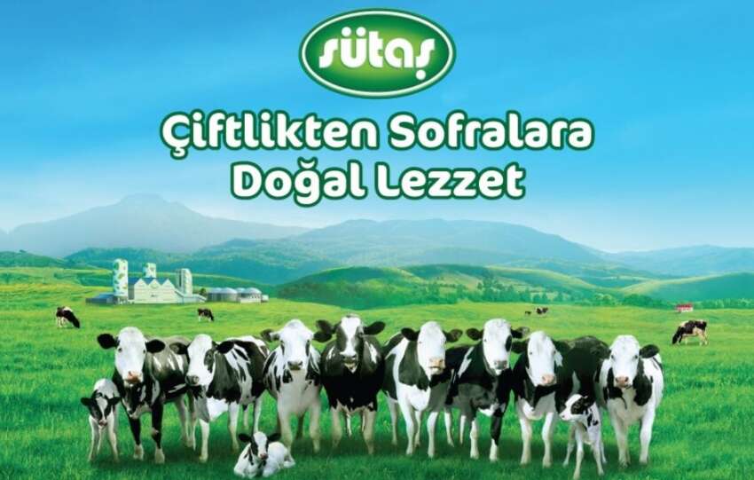 Sutastan sut ve sut urunlerinde ihracat rekoru