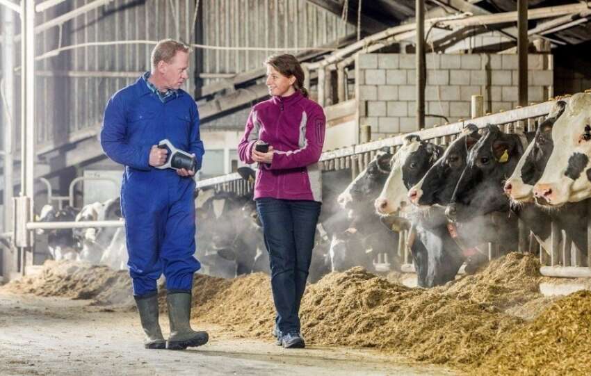 Trouw Nutrition tarafindan gelistirilen NutriOpt teknolojisi hayvancilikta deger yaratmayi surduruyor