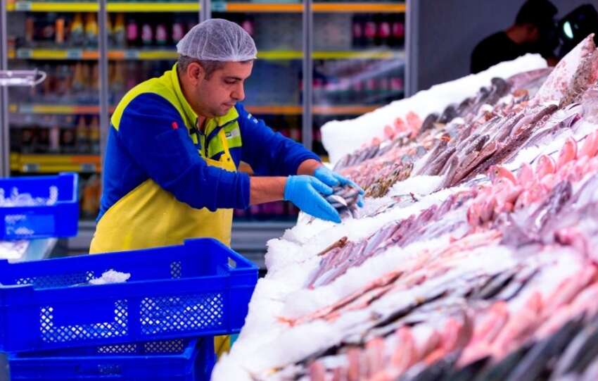 Balik sezonu basliyor Taze Guvenilir ve Izlenebilir deniz baliklari Metro Turkiye tezgahlarina cikiyor
