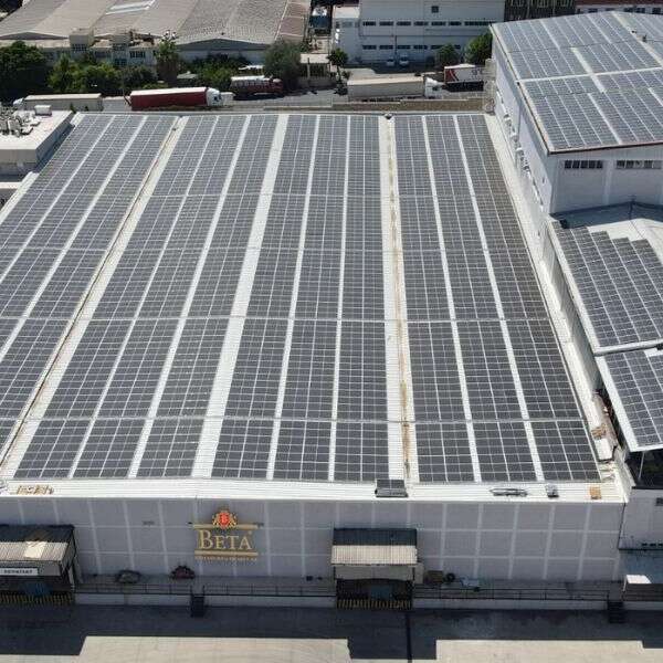Beta Gıda’da çay gücünü yeşil enerjiden alıyor