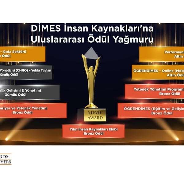 DİMES insan kaynakları projelerine uluslararası ödül yağmuru
