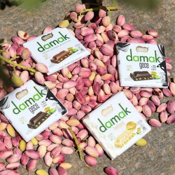 Halil İbrahim Zeytin 1 Nestlé DAMAK ve TEMA Vakfı kendini fıstığa “adadı”, verim 2.5 katına çıktı