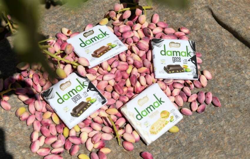 Nestle DAMAK ve TEMA Vakfi kendini fistiga adadi verim 2.5 katina cikti