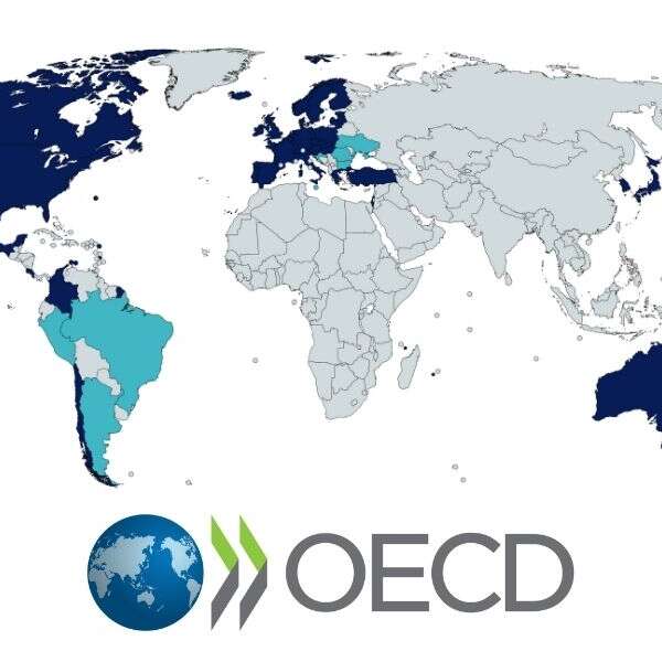 Halil İbrahim Zeytin 7 OECD Türkiye için büyüme ve enflasyon tahminini yükseltti