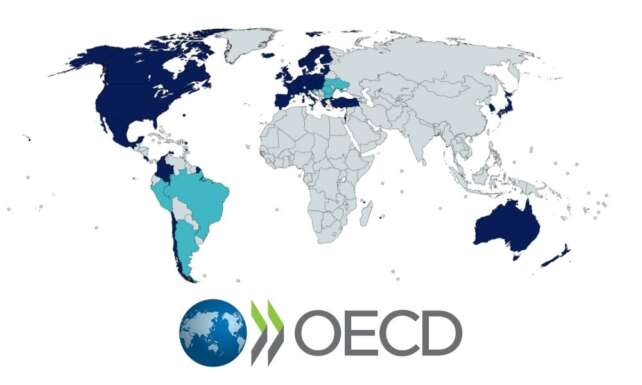 OECD Turkiye icin buyume ve enflasyon tahminini yukseltti 2