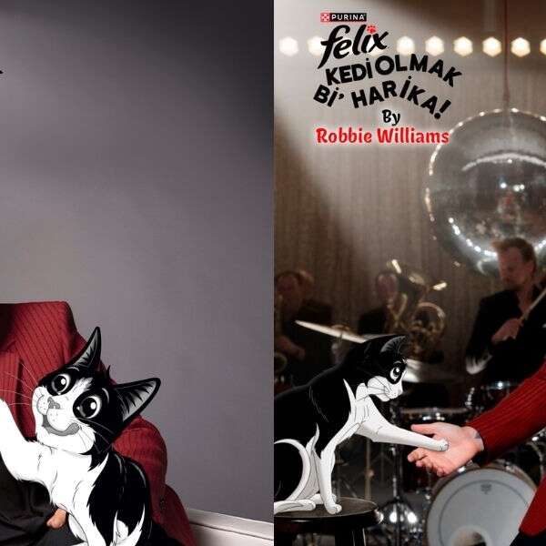Purina ile Robbie Willıams “Kedi Olmak Bi’ Harika” diyor