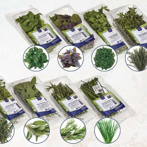 Metro Chef taze baharatlar kendine has aromalarıyla mutfaklara lezzet katıyor