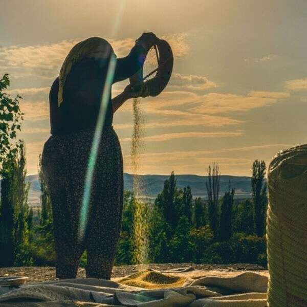 İlkay Keskin 2 Topraktan sofralara kadın çiftçilerin tarımdaki emeği: Dünya Kadın Çiftçiler Günü