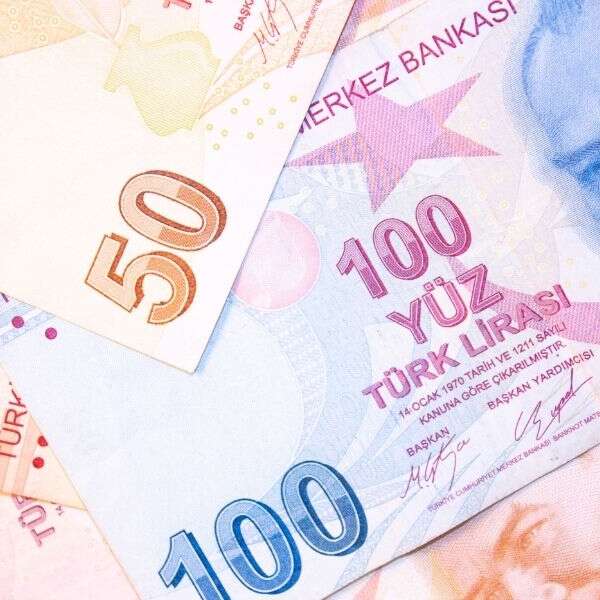 Hazine ve Maliye Bakanlığı 18,6 milyar lira borçlandı