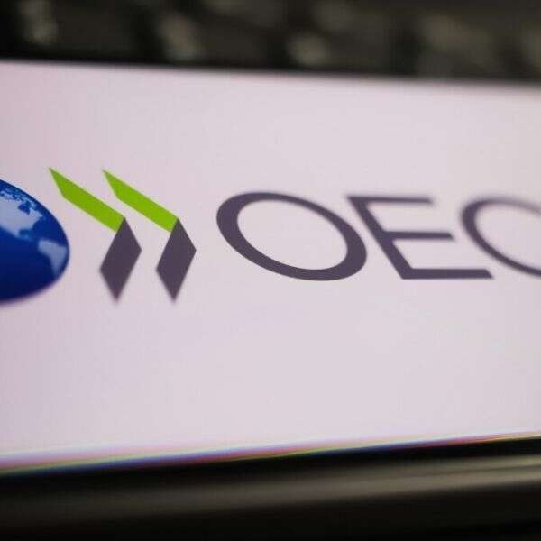 OECD, Türkiye için büyüme tahminini yükseltti