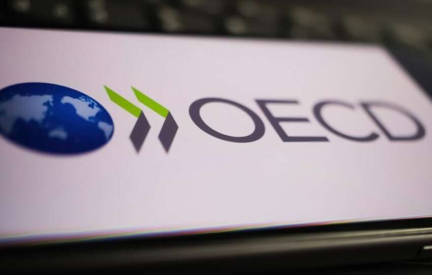 OECD Turkiye icin buyume tahminini yukseltti