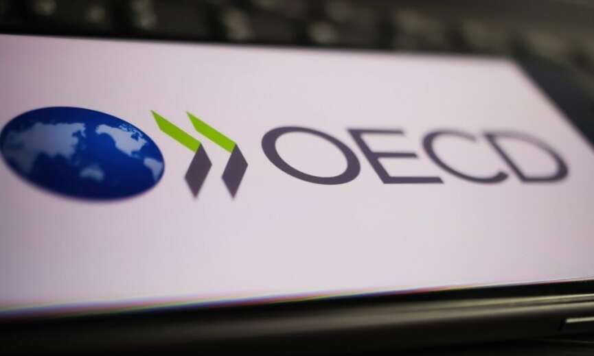 OECD Turkiye icin buyume tahminini yukseltti