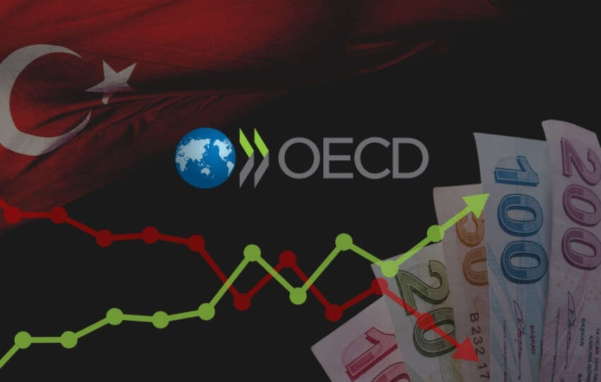OECD 2024e iliskin ilk Ekonomik Gorunum Raporunu yayimladi
