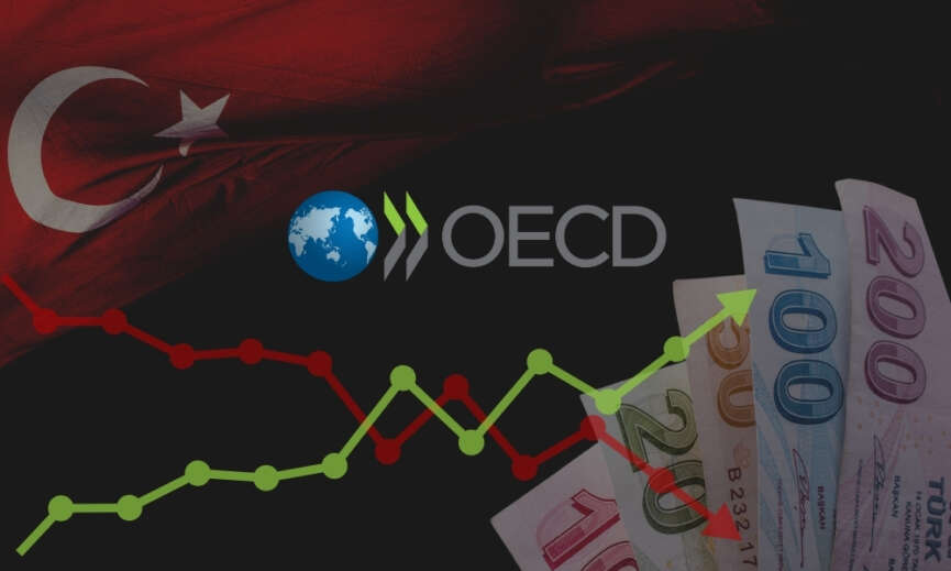 OECD 2024e iliskin ilk Ekonomik Gorunum Raporunu yayimladi