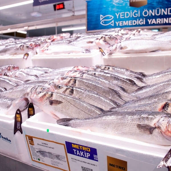 İlker Özçetin 8 Metro Türkiye’den Omega 3 zengini mutlu balıklar