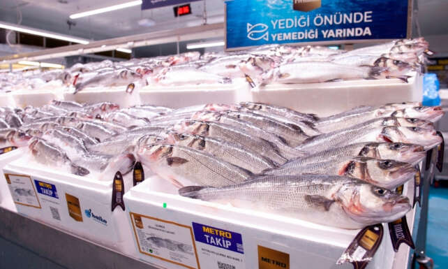 Metro Turkiyeden Omega 3 zengini mutlu baliklar