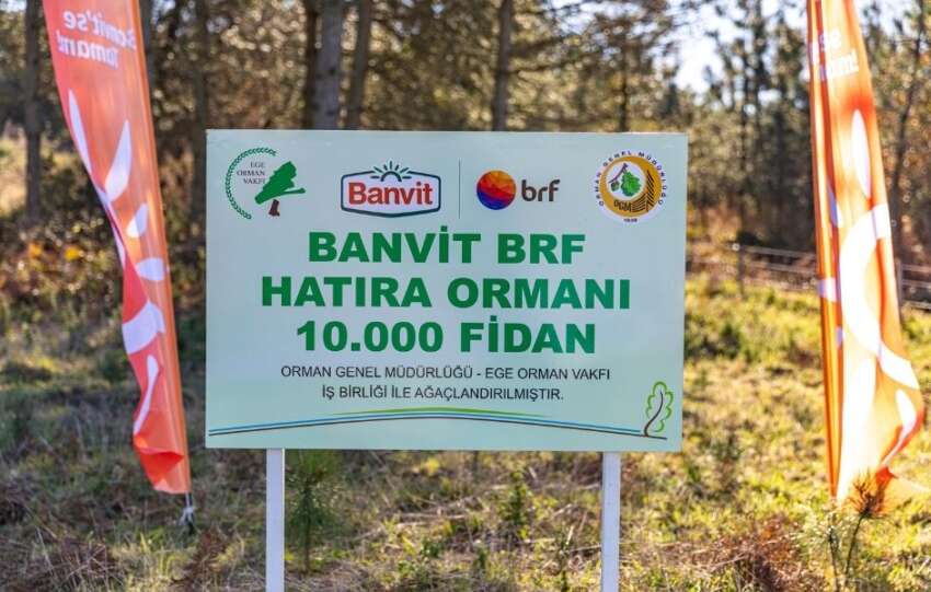 Banvit BRF Ormanlari 60 bin agaca ulasti