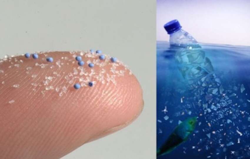 Mikroplastik Kirliligi