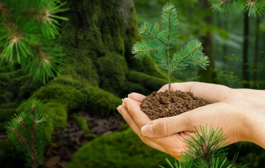 Mobisis Teknoloji Gelecege Nefes Oluyor