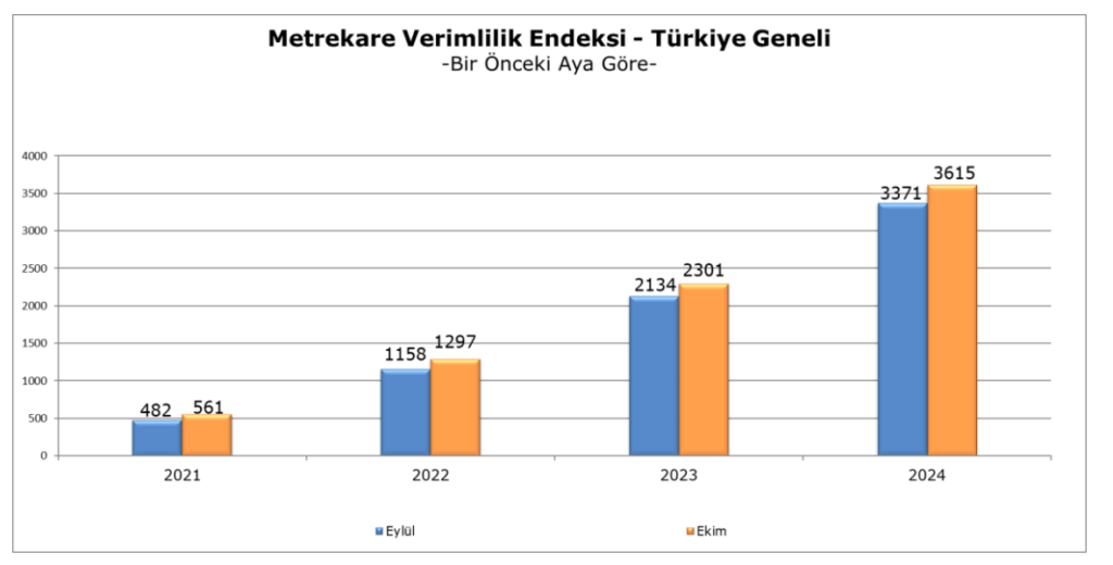 Ekim 2024 donemi 2