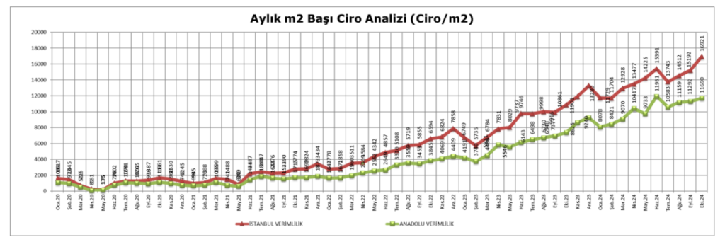 Ekim 2024 donemi 3