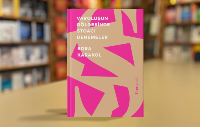 Stoa felsefesiyle sicak bir tanisma icin varolusun golgesinde Stoaci Denemeleri okuyabilirsiniz