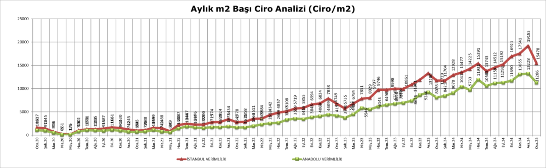 Metrekare verimlilik ocak 2025 3