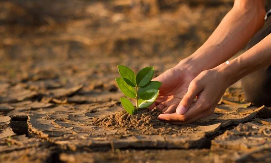 Guclu Yonleri Eksiklikleri ve Oneriler