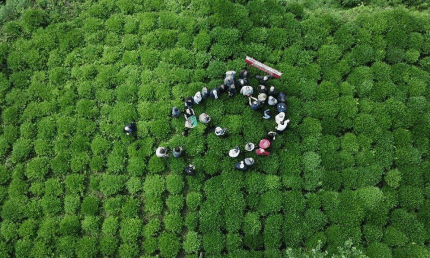 Dogus Cay 40inci yilina yilda yaklasik 2 milyon ton tarim urununu ekonomiye kazandirarak girdi