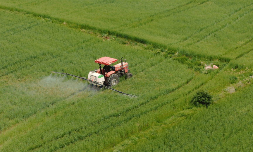 Ulker ve Sabanci Universitesi bugday icin ele ele verdi