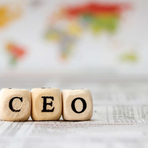 Aradığımız CEO SEN (mi)SİN ?