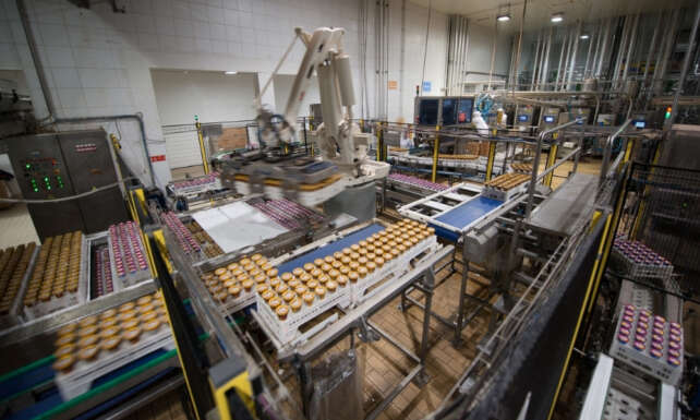 Golf Dondurma Kalitesini Surdurulebilirlik ve Inovasyon ile Destekliyor