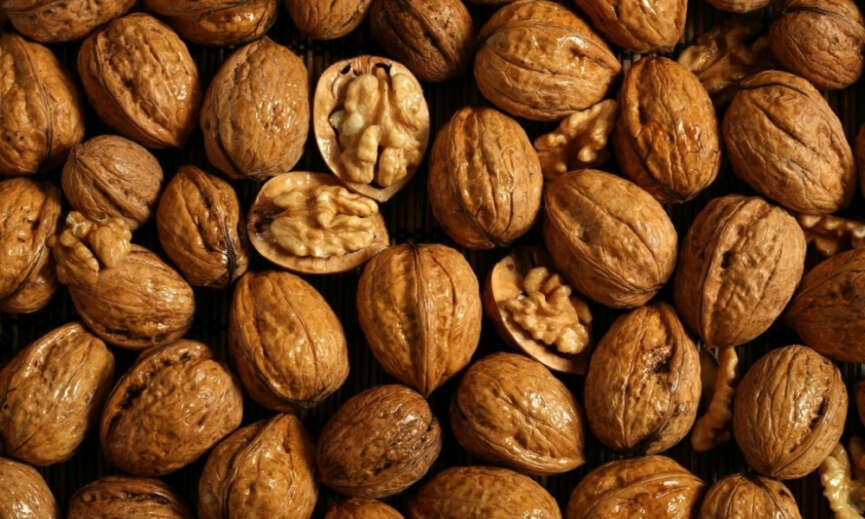 Yeni Yapilan Bir Arastirma Duzenli Ceviz Tuketen Genc Yetiskinlerin Uyku Kalitelerinin Arttigini Ortaya Koyuyor