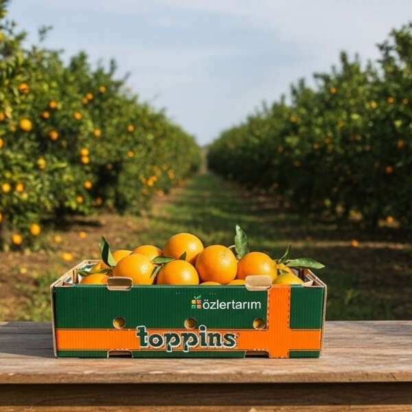 Erkmen Onbulak 8 Mondi, Özler Tarım’ın uzun mesafe sevkiyatlarında gıda israfını azaltıyor