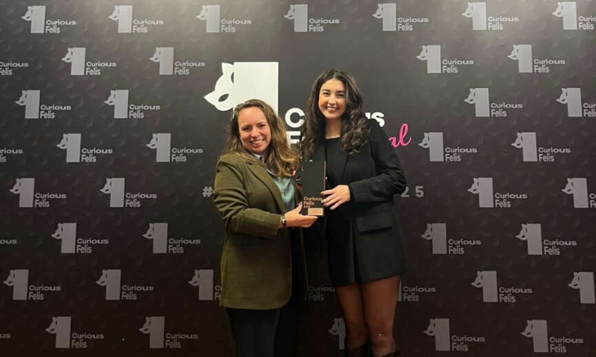 Metro Turkiyenin Balik Takimi Projesine Curious Felisten Bronz Odul