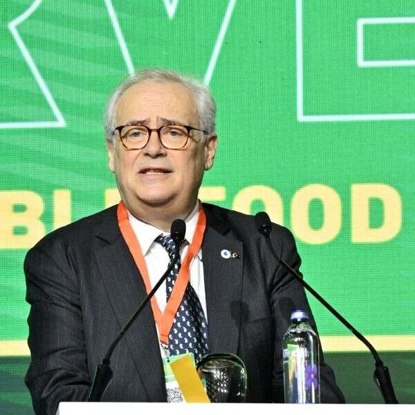 TÜGİS Yönetim Kurulu Başkanı Kaan Sidar: “Gıda İsrafının Ekonomik Karşılığı 1 Trilyon Dolar!”