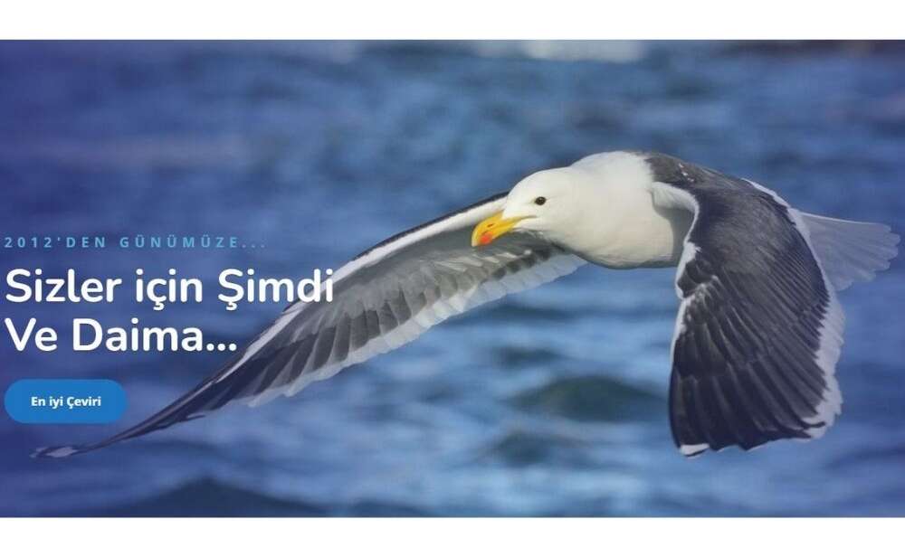 Haber Gorseli 1000 × 630 piksel 5