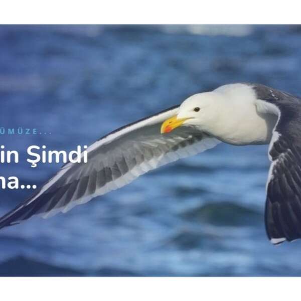 İlkay Keskin 13 2026’da Çeviri Ücretleri Ne Kadar? Tercüme Fiyatlarını Belirleyen 5 Temel Kriter