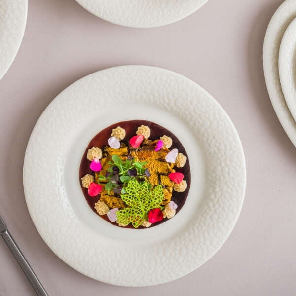 “Bonna, Yarına Da Kalsın Diye Geleceğin Şeflerinin Yanında” olmaya devam ediyor