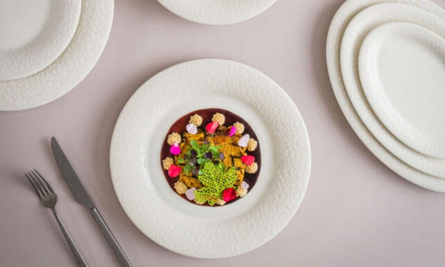 Bonna Yarina Da Kalsin Diye Gelecegin Seflerinin Yaninda olmaya devam ediyor