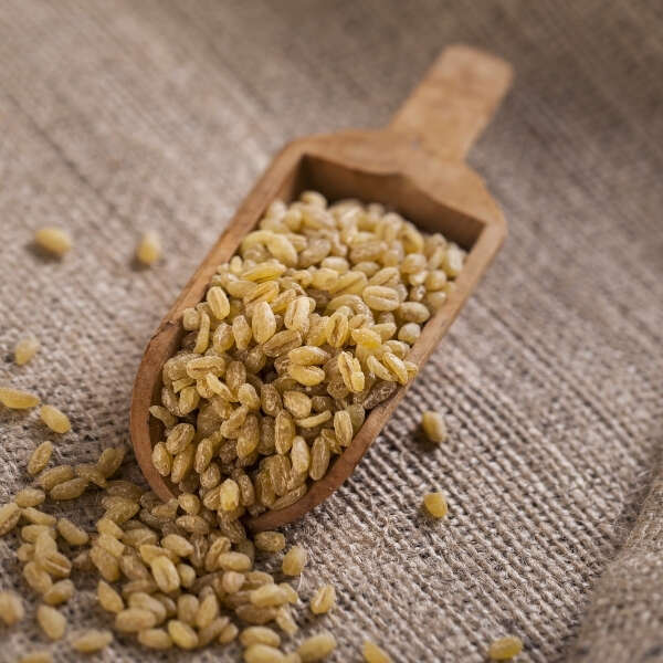 Duru Bulgur’dan 2 Bin Yıllık Genetik Mirasa Bilimsel Vefa