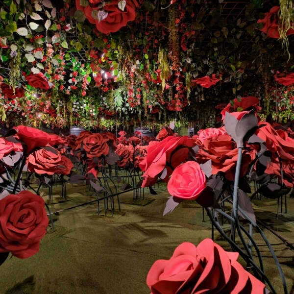 İlkay Keskin 10 Hayal gücü yarıyıl tatilinde Akasya’da