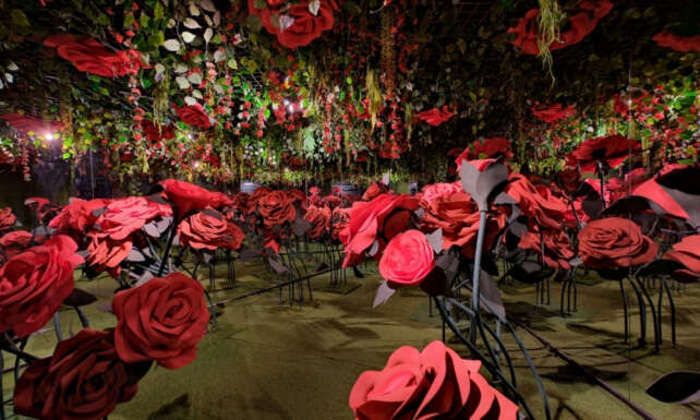 Hayal gucu yariyil tatilinde Akasyada