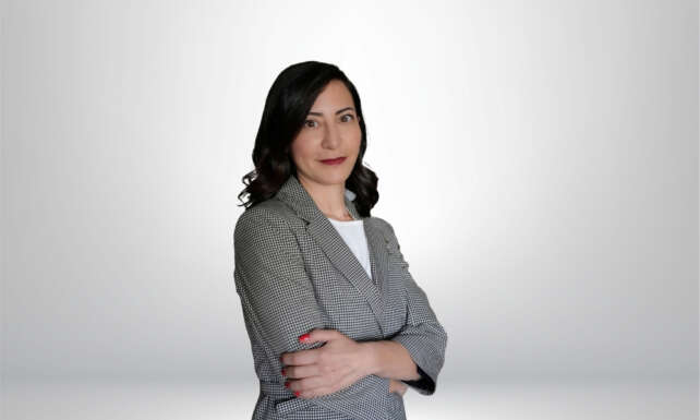 Mr Ustanin yeni CEOsu Ayse Pehlivaner Guney oldu