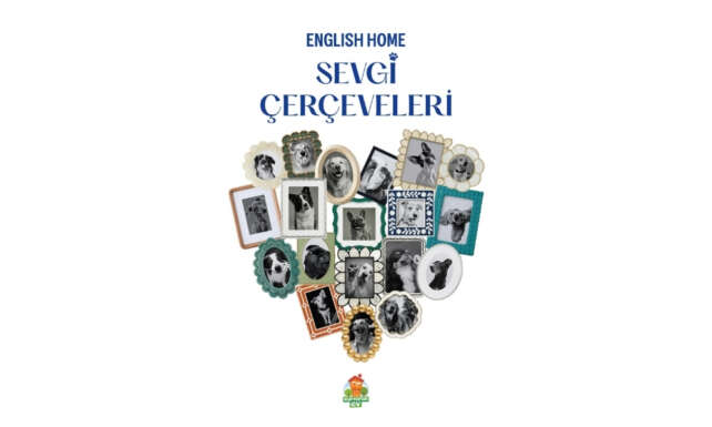 English Home Magazalarindaki Cerceveler Patili Dostlari Sahiplendirme Noktasina Donusuyor